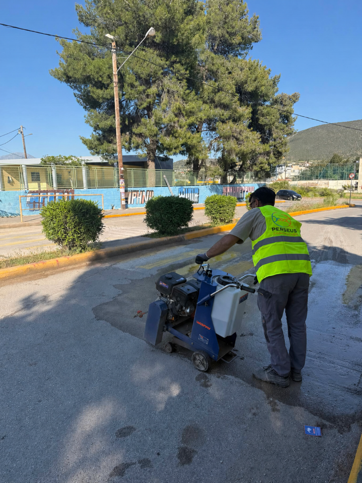 Perseus smart crossing installation